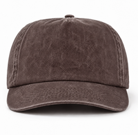 Vintage Wash Unconstructed Cap