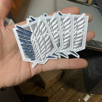 Aot Patch